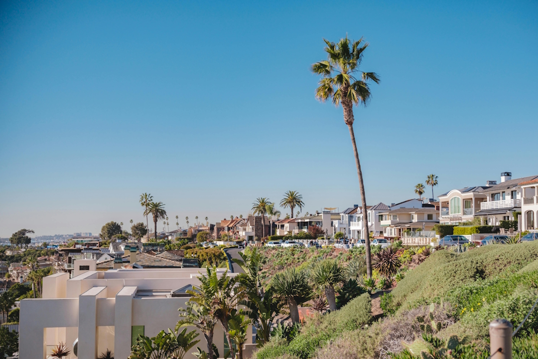 Specialty Neighborhood